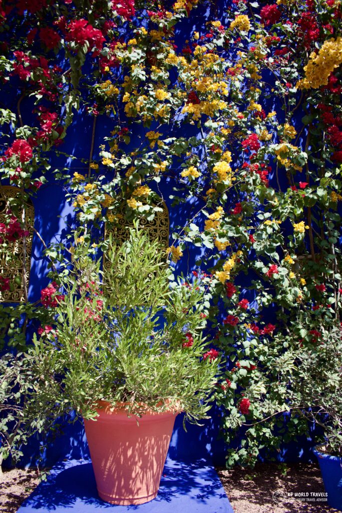 Jardin Majorelle Marrakech